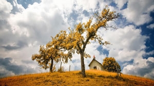 _Heaven_Earth_generic